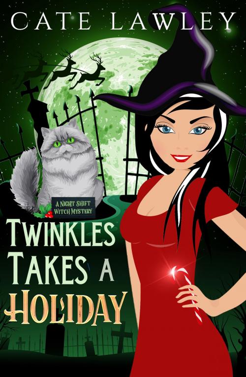 Cover of the book Twinkles Takes a Holiday by Cate Lawley, Cate Lawley