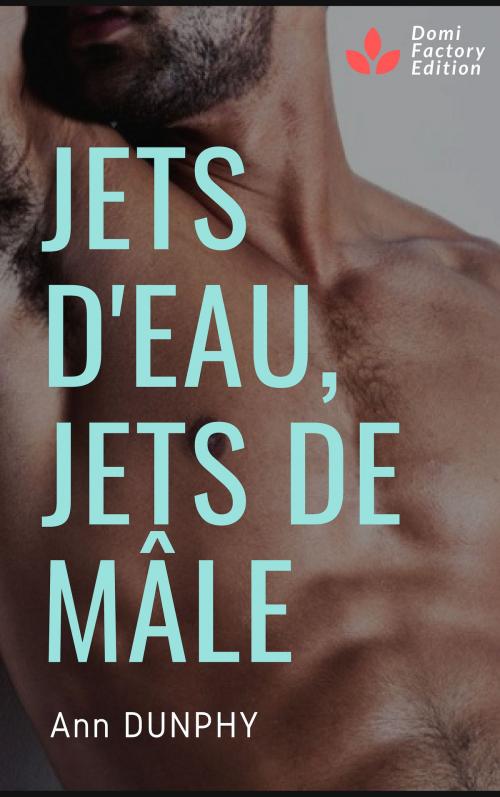 Cover of the book Jets d'eau, jets de mâle by Ann Dunphy, AD Edition
