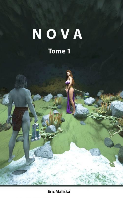 Cover of the book Nova, Tome 1 by Eric Maliska, Artefacstories