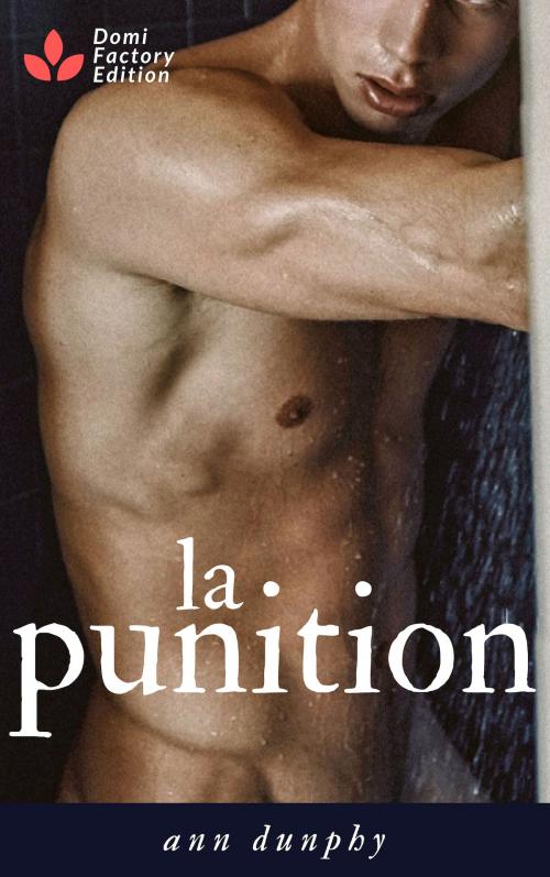 Cover of the book La punition by Ann Dunphy, AD Edition
