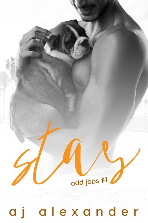 Cover of the book Stay by AJ Alexander, Tequila Sunrise Publishing
