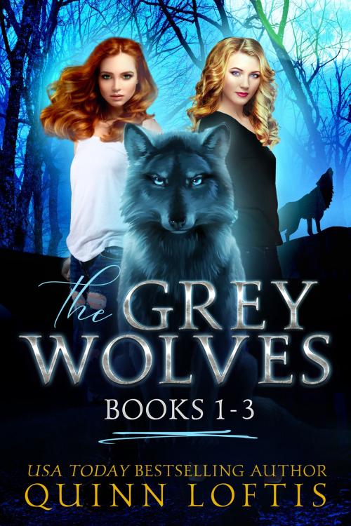 Cover of the book The Grey Wolves Series Collection Books 1-3 by Quinn Loftis, Quinn Loftis Books, LLC