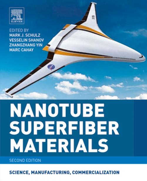 Cover of the book Nanotube Superfiber Materials by , Elsevier Science