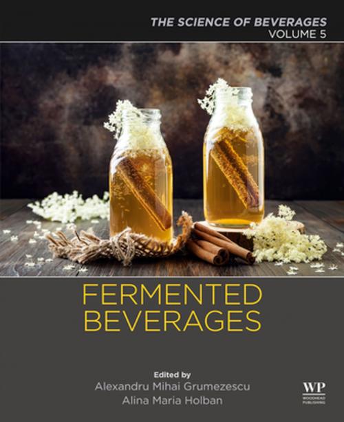 Cover of the book Fermented Beverages by , Elsevier Science
