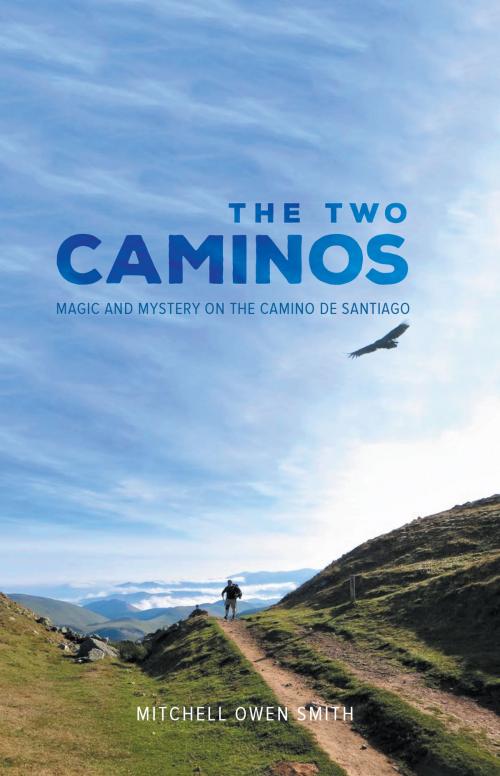 Cover of the book The Two Caminos by Mitchell Owen Smith, Tellwell Talent