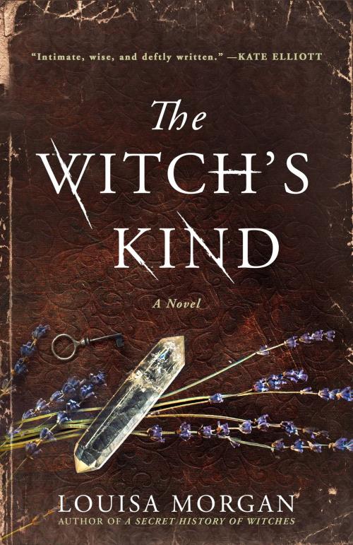 Cover of the book The Witch's Kind by Louisa Morgan, Orbit