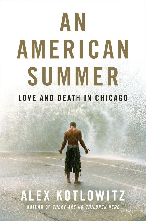 Cover of the book An American Summer by Alex Kotlowitz, Knopf Doubleday Publishing Group