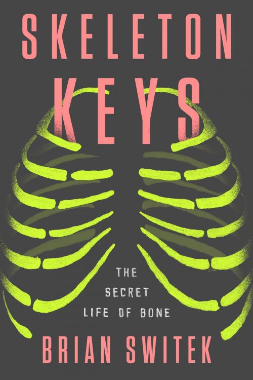 Cover of the book Skeleton Keys by Brian Switek, Penguin Publishing Group