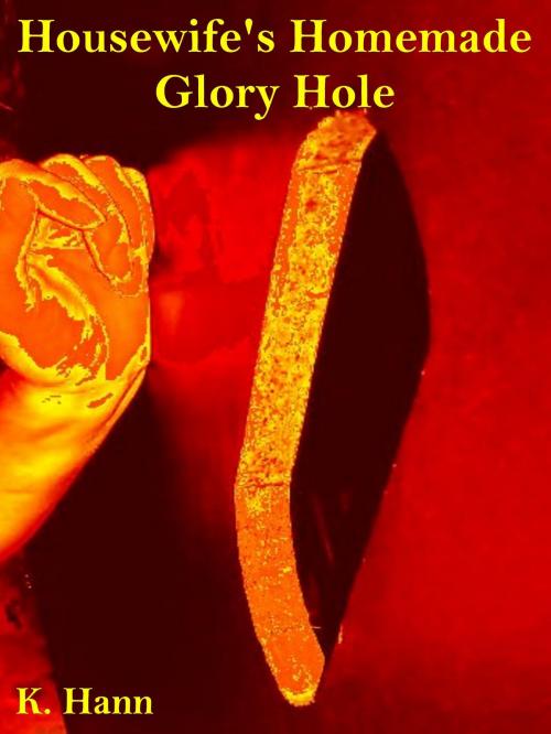 Cover of the book Housewife's Homemade Glory Hole by K. Hann, K. Hann