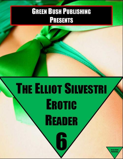 Cover of the book The Elliot Silvestri Erotic Reader Volume 6 by Elliot Silvestri, Elliot Silvestri