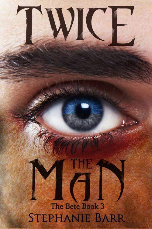 Cover of the book Twice the Man by Stephanie Barr, Stephanie Barr