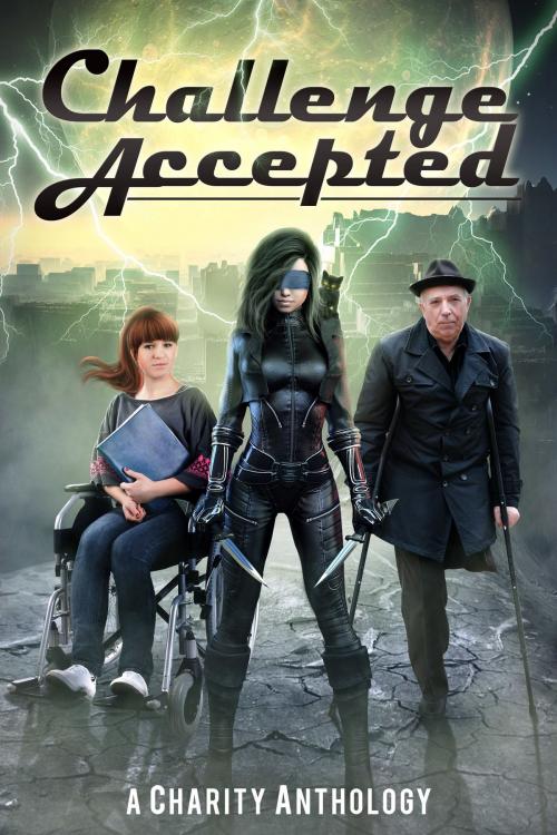 Cover of the book Challenge Accepted by Stephanie Barr, Adam David Collings, E.M. Swift-Hook, Andy Zach, Joyce Hertzoff, Jen Ponce, J. A. Busick, Stephanie Barr