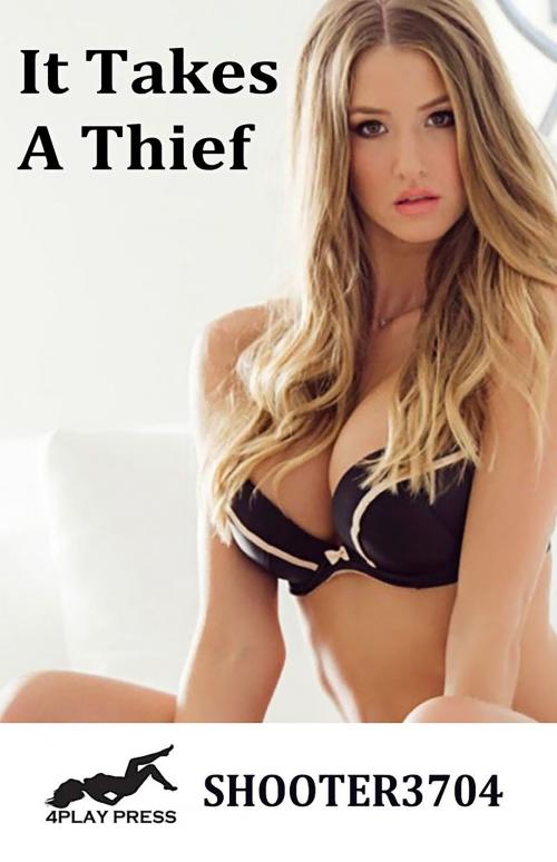 Cover of the book It Takes a Thief by Shooter3704, Fiction4All