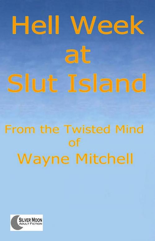 Cover of the book Hell Week at Slut Island by Wayne Mitchell, Fiction4All