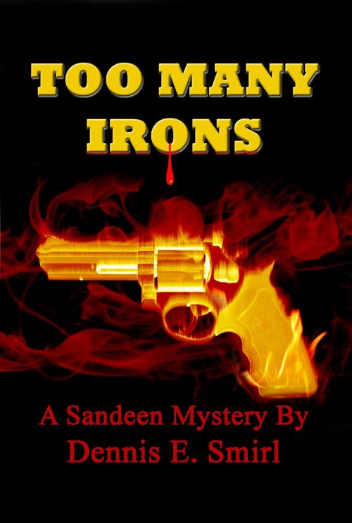 Cover of the book Too Many Irons by Dennis E. Smirl, Dennis E. Smirl