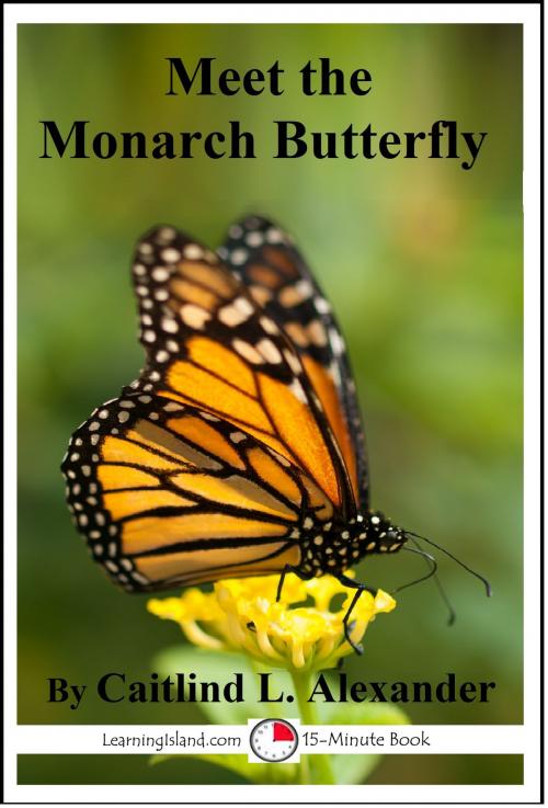 Cover of the book Meet the Monarch Butterfly by Caitlind L. Alexander, LearningIsland.com