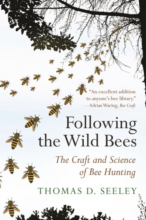 Cover of the book Following the Wild Bees by Thomas D Seeley, Princeton University Press
