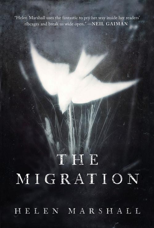 Cover of the book The Migration by Helen Marshall, Random House of Canada