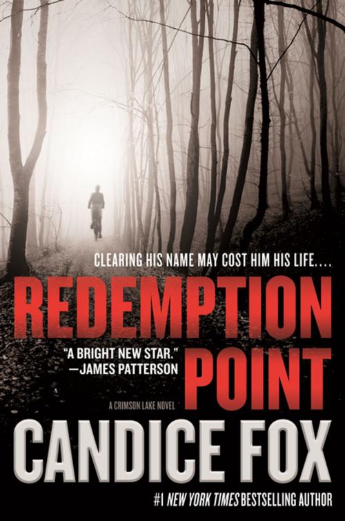 Cover of the book Redemption Point by Candice Fox, Tom Doherty Associates