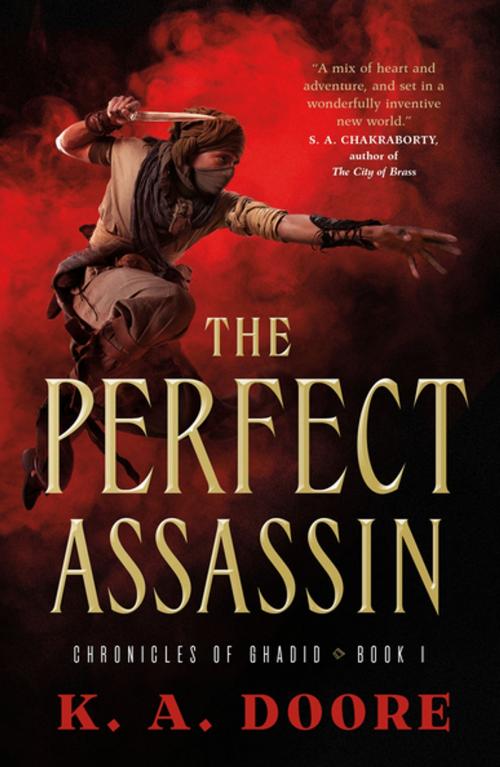 Cover of the book The Perfect Assassin by K. A. Doore, Tom Doherty Associates