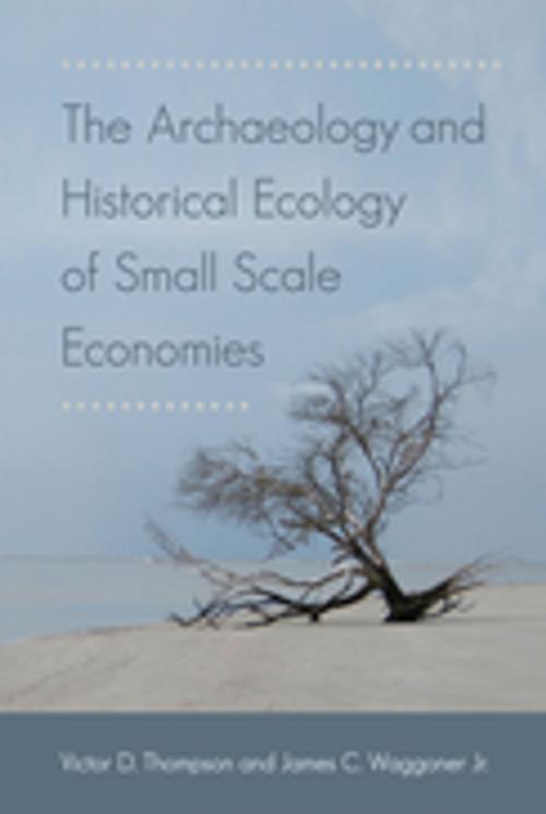 Cover of the book The Archaeology and Historical Ecology of Small Scale Economies by , University Press of Florida