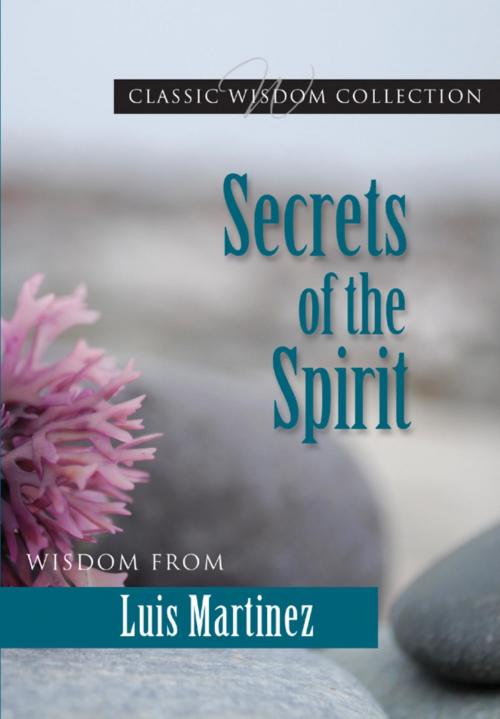 Cover of the book Secrets of the Spirit by Germana Santos, Luis Martinez, Pauline Books and Media