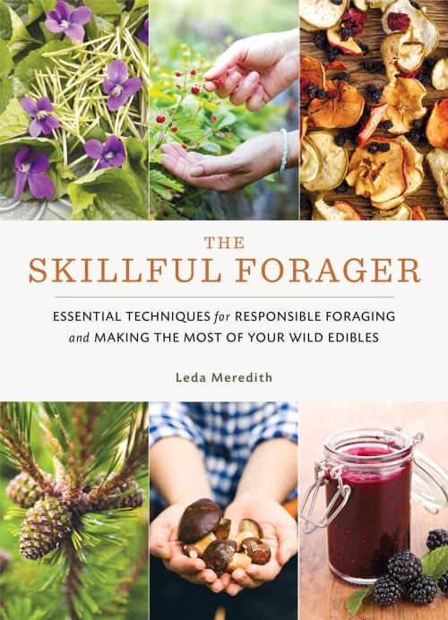 Cover of the book The Skillful Forager by Leda Meredith, Shambhala