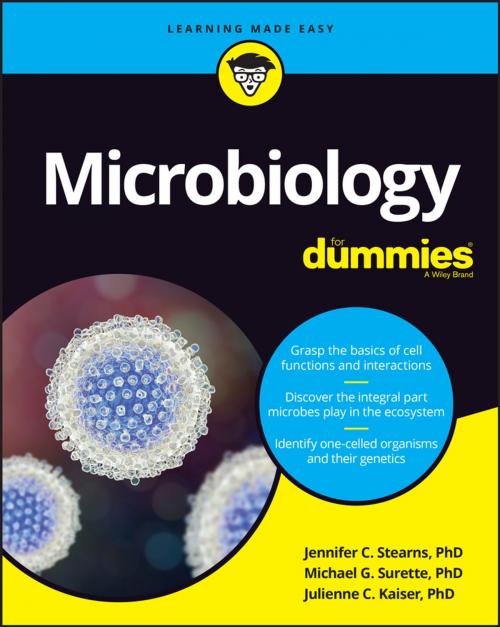Cover of the book Microbiology For Dummies by Jennifer Stearns, Michael Surette, Wiley