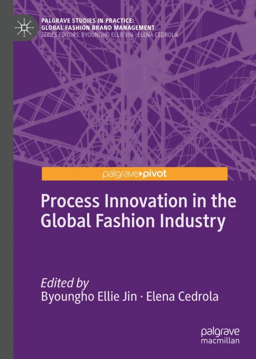 Cover of the book Process Innovation in the Global Fashion Industry by , Palgrave Macmillan US