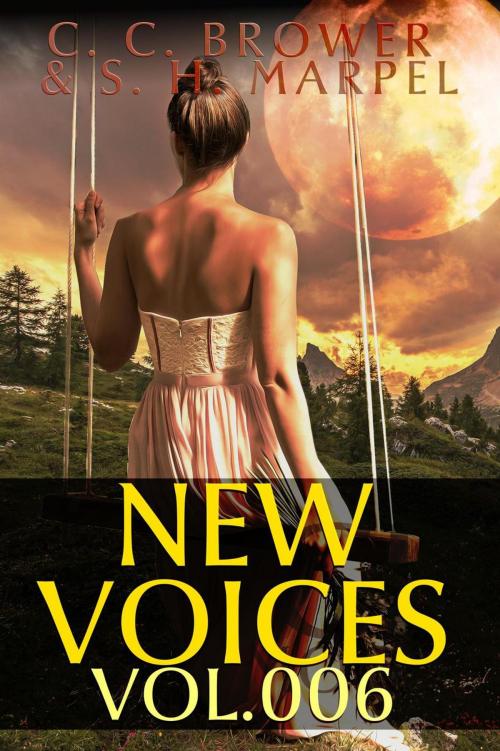 Cover of the book New Voices Volume 6 by C. C. Brower, J. R. Kruze, R. L. Saunders, S. H. Marpel, Living Sensical Press