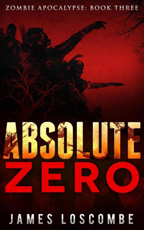 Cover of the book Absolute Zero by James Loscombe, James Loscombe