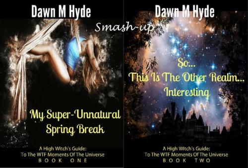 Cover of the book A High Witch's Guide Smashup by Dawn M Hyde, Dawn M Hyde