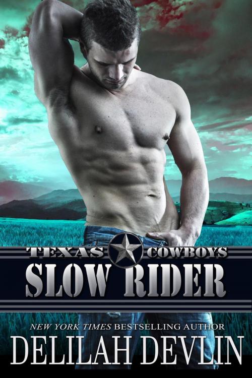 Cover of the book Slow Rider by Delilah Devlin, Delilah Devlin