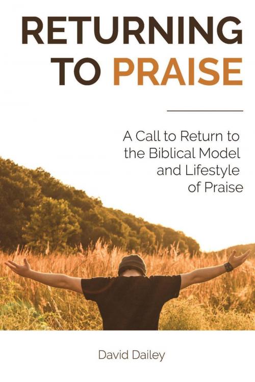 Cover of the book Returning to Praise: A Call to Return to the Biblical Model and Lifestyle of Praise by David Dailey, CrossLink Publishing