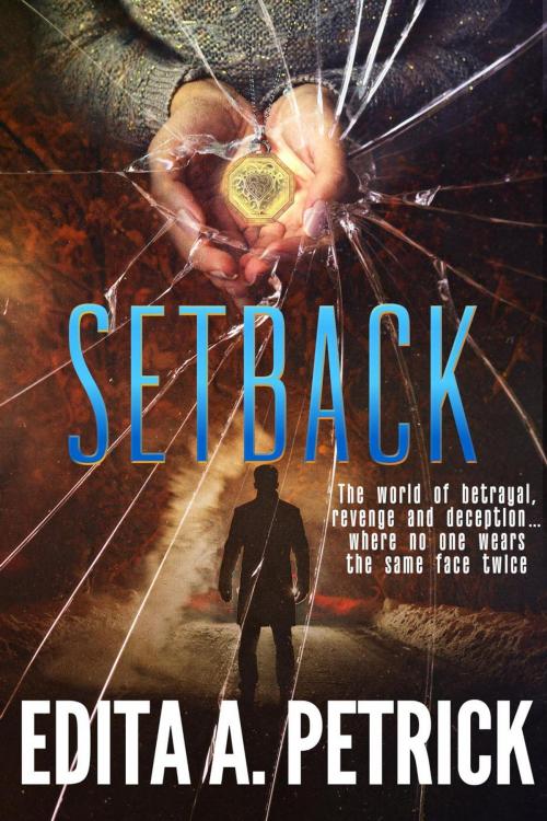 Cover of the book Setback by Edita A. Petrick, Edita A. Petrick