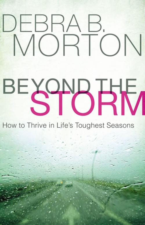 Cover of the book Beyond the Storm by Debra B. Morton, Thomas Nelson