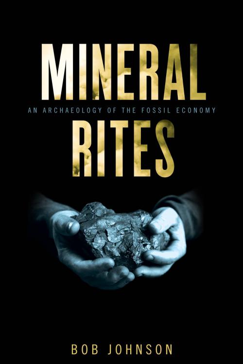 Cover of the book Mineral Rites by Bob Johnson, Johns Hopkins University Press