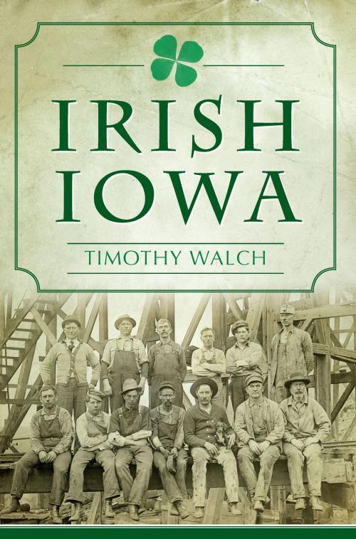 Cover of the book Irish Iowa by Timothy Walch, Arcadia Publishing Inc.