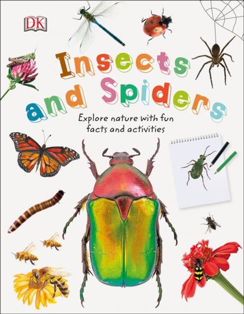 Cover of the book Insects and Spiders by DK, DK Publishing