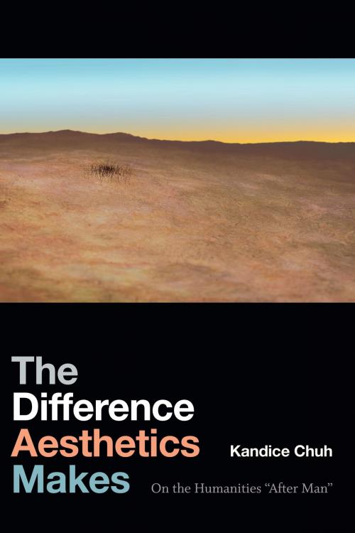 Cover of the book The Difference Aesthetics Makes by Kandice Chuh, Duke University Press