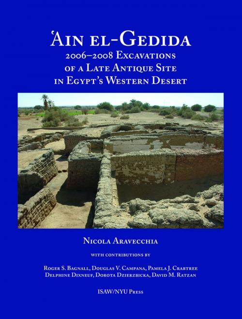Cover of the book 'Ain el-Gedida by Nicola Aravecchia, Roger S. Bagnall, Pamela Crabtree, Delphine Dixneuf, Dorota Dzierzbicka, Douglas V. Campana, David M. Ratzan, NYU Press