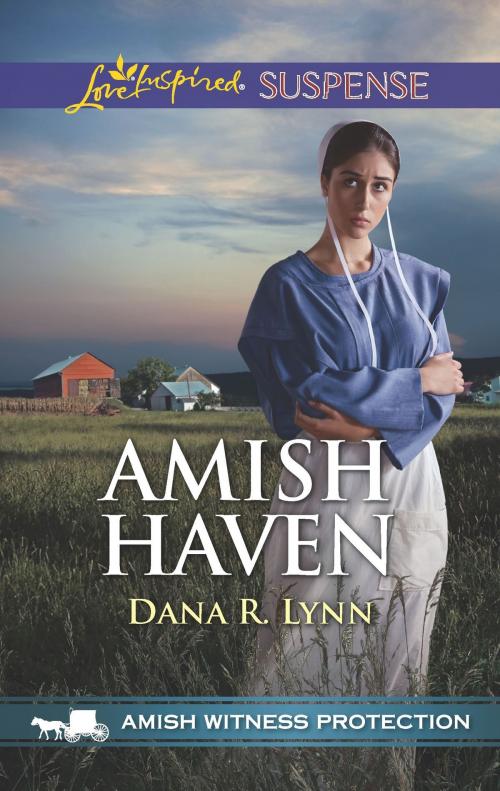 Cover of the book Amish Haven by Dana R. Lynn, Harlequin