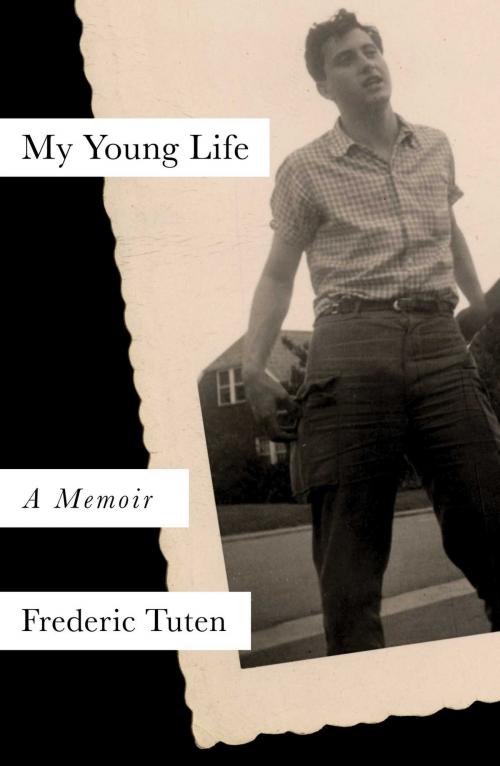 Cover of the book My Young Life by Frederic Tuten, Simon & Schuster