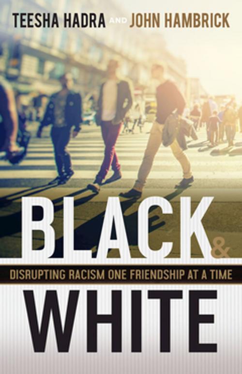 Cover of the book Black and White by Teesha Hadra, John Hambrick, Abingdon Press