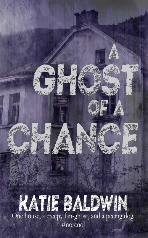 Cover of the book A Ghost of a Chance by Katie Baldwin, The Wild Rose Press, Inc.