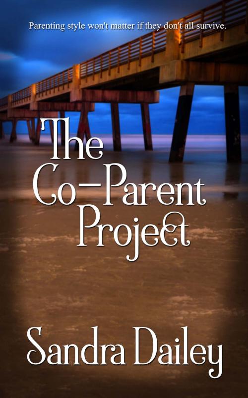Cover of the book The Co-Parent Project by Sandra Dailey, The Wild Rose Press, Inc.