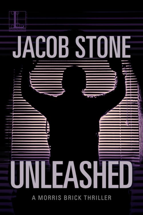 Cover of the book Unleashed by Jacob Stone, Lyrical Press