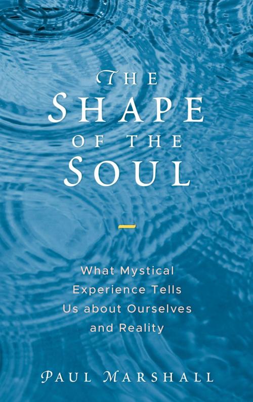 Cover of the book The Shape of the Soul by Paul Marshall, Rowman & Littlefield Publishers