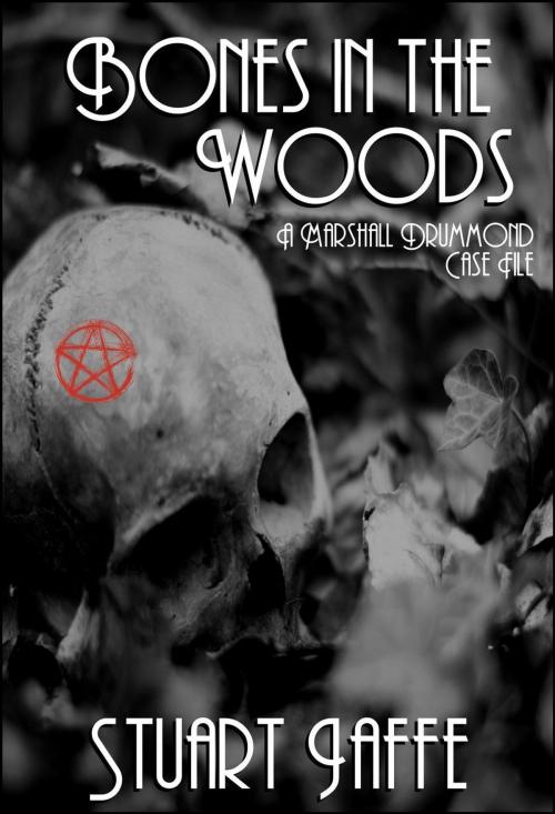 Cover of the book Bones in the Woods by Stuart Jaffe, Stuart Jaffe