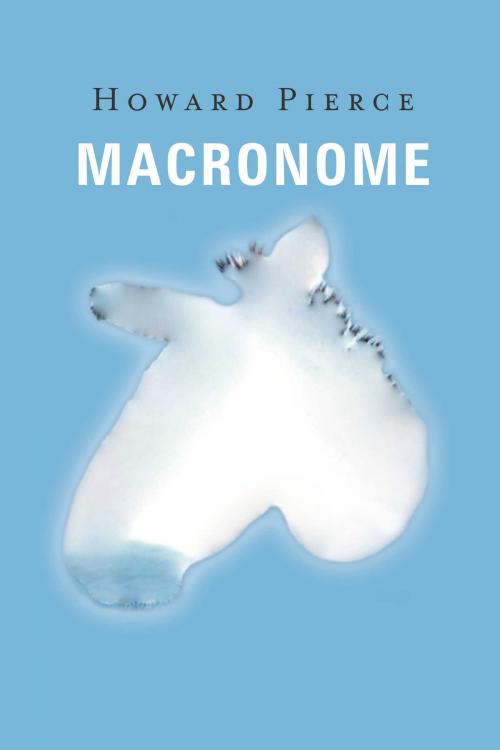 Cover of the book Macronome by Howard Pierce, BookBaby